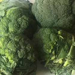 Broccoli at Bacolod Pages