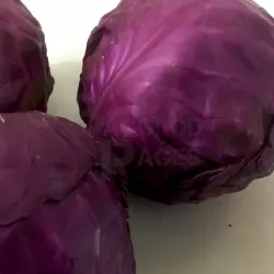Cabbage red