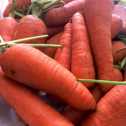 Bacolodpages Fruits and Vegetables - carrots Baguio