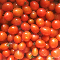Cherry Tomatoes at Bacolod Pages