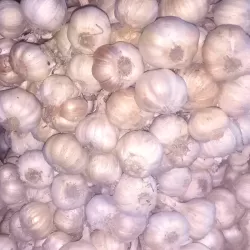 Native Garlic at Bacolod Pages