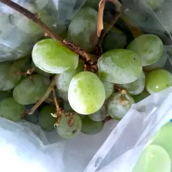 Green Grapes USA