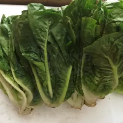Lettuce - Romaine at Bacolodpages