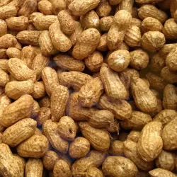 Peanuts with panit fresh