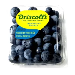 Driscolls Blueberries Bacolod Pages