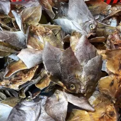 Dried Fish - Danggit