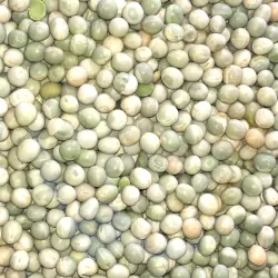 Beans - Green Peas Raw