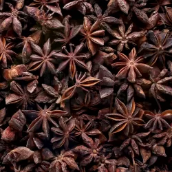 Star anise at Bacolod Pages
