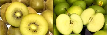 Kiwi and Green Apple Bacolod Pages