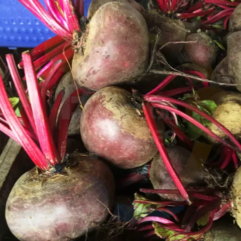 Beetroot at Bacolod Pages