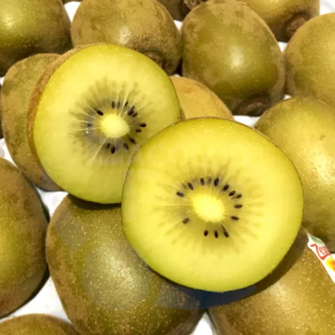 Kiwi Golden