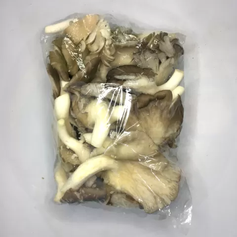 Mushrooms fresh