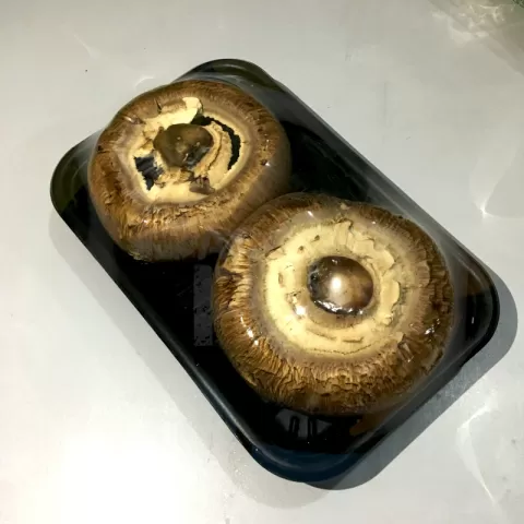 Mushroom-Portobello